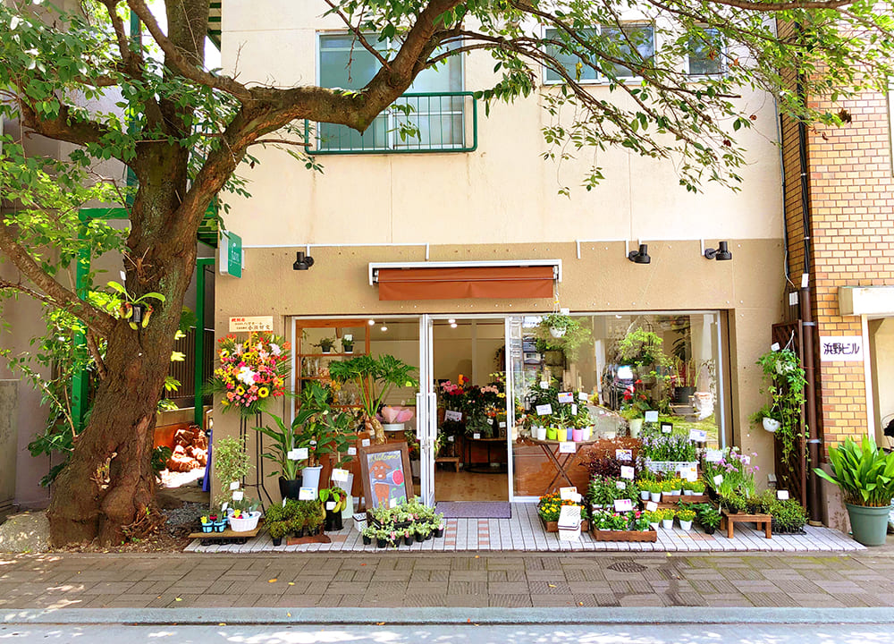 末広通りに『florist fan』(フローリスト ファン)というフラワーショップがオープン！店舗正面