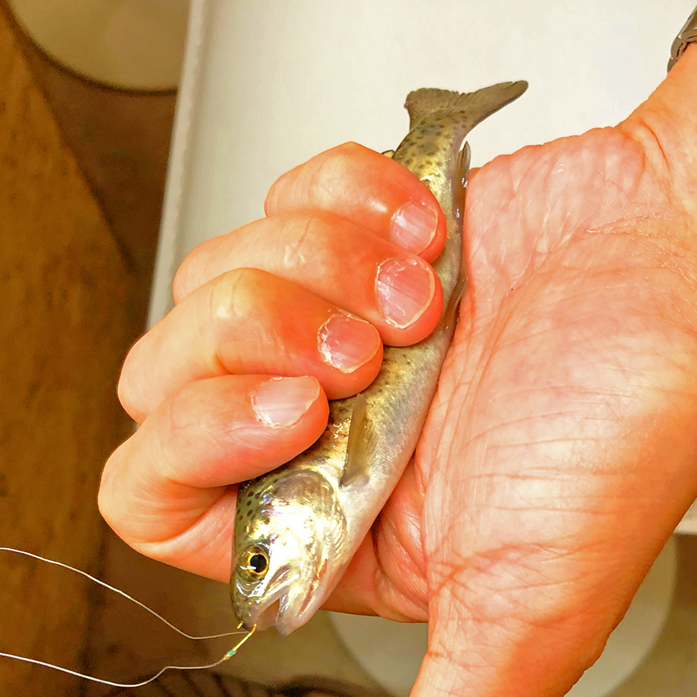 吉祥寺 その場で釣って食べられる Catch And Eat に行ってきました 号外net 武蔵野市 小金井市