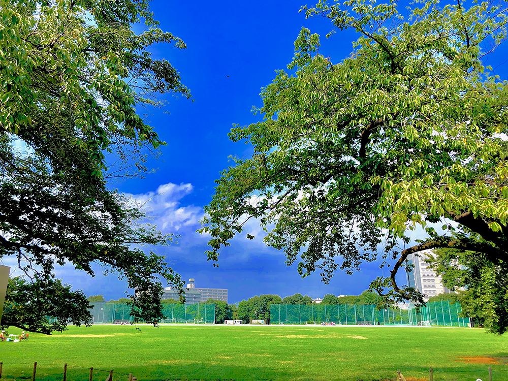 武蔵野市のオアシス！広々とした草原のある『武蔵野中央公園』バーベキュー広場やテニスコートも！原っぱ広場