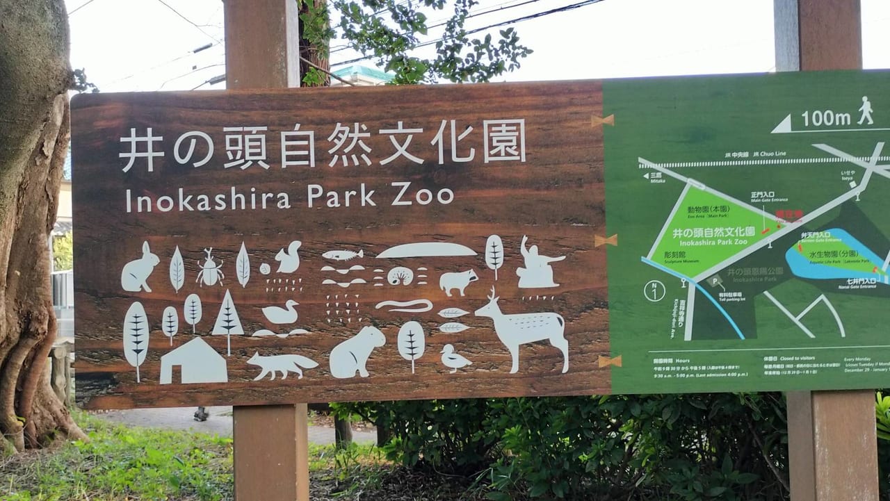 井の頭自然文化園は動物園です