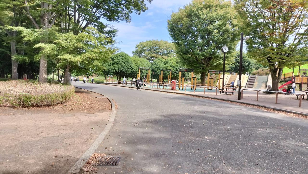 小金井公園の舗装された明るい道