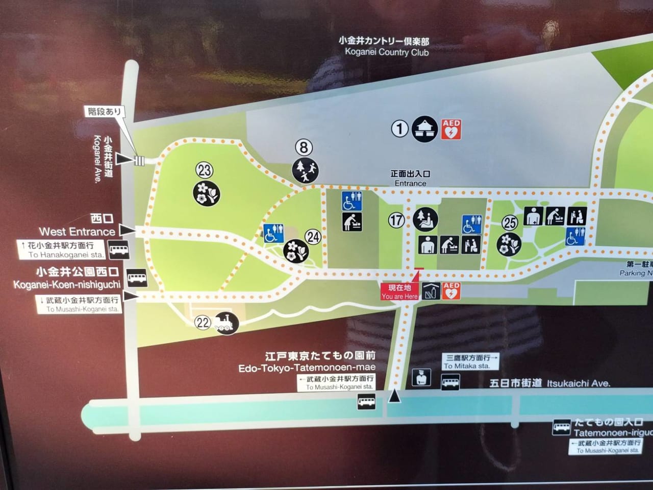 小金井市なかよし市民まつりが開催されるあたりの小金井公園の地図