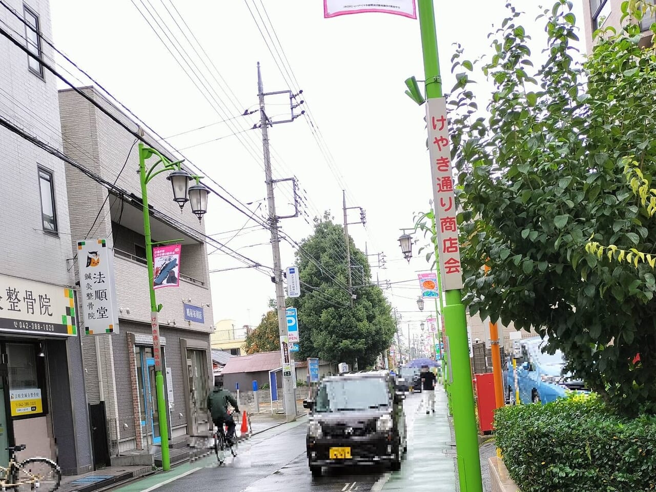 小金井市けやき通り