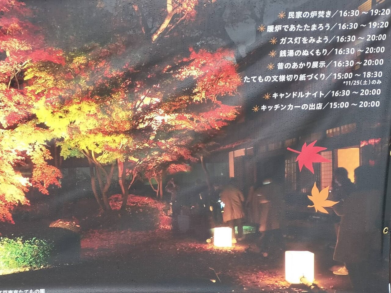 江戸東京たてもの園の紅葉もライトアップ
