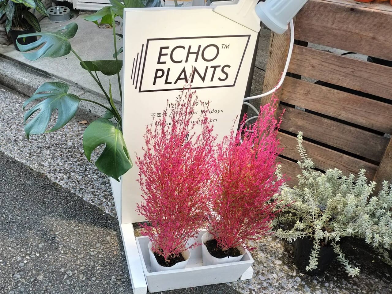 ECHO PLANTS（エコープランツ）