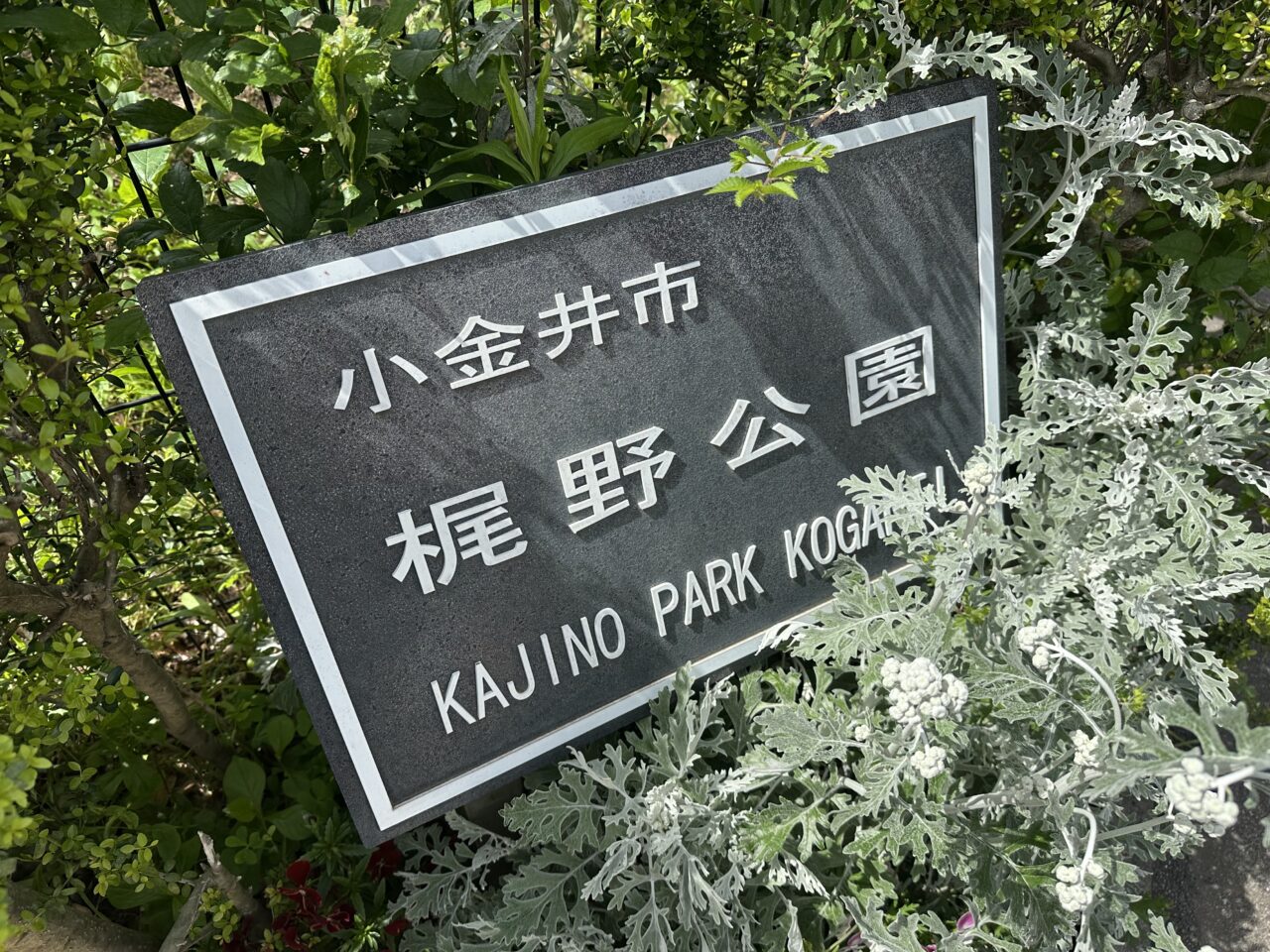 小金井市梶野公園の看板写真です