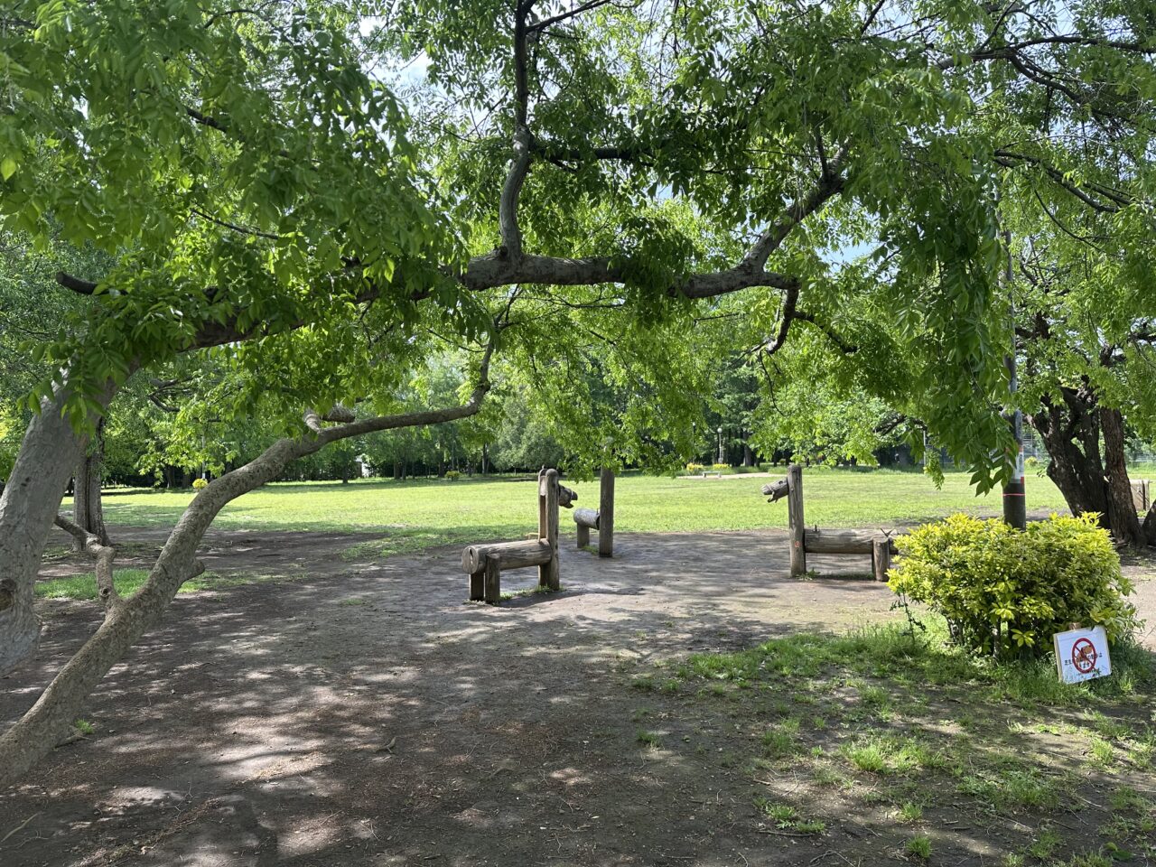 初夏の小金井市梶野公園内の写真です
