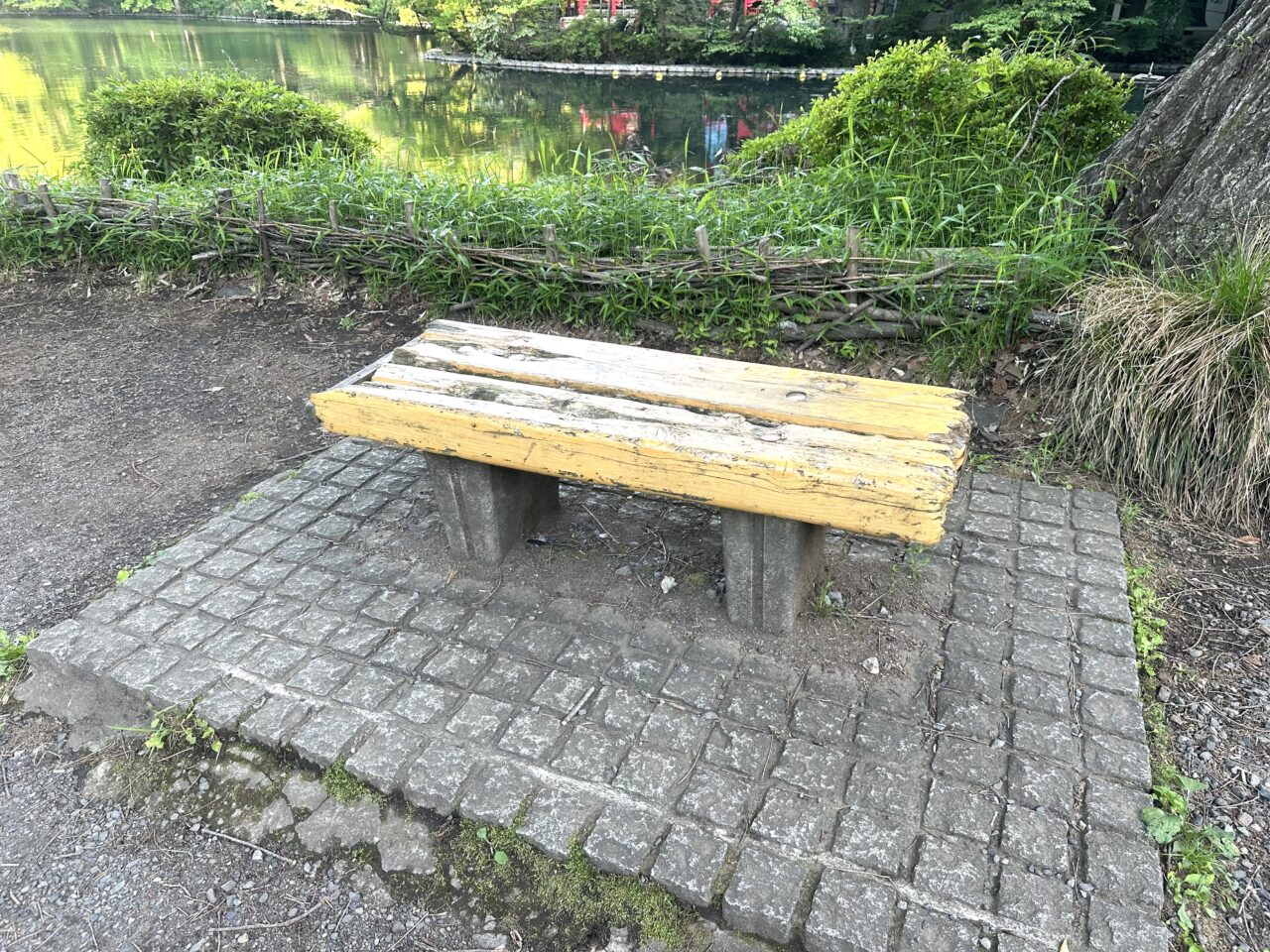 井の頭公園山野草エリア前のベンチの写真です