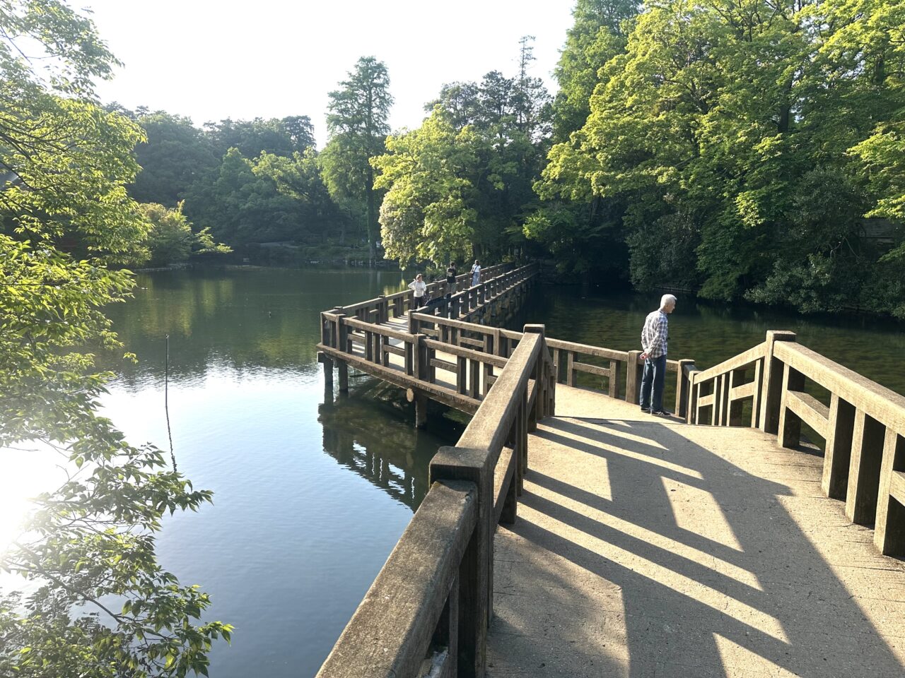 井の頭公園内にある弁天橋の写真です