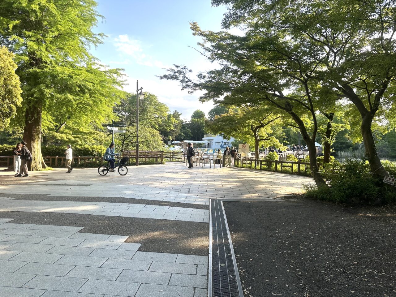 井の頭公園スワンボート近くの景色です