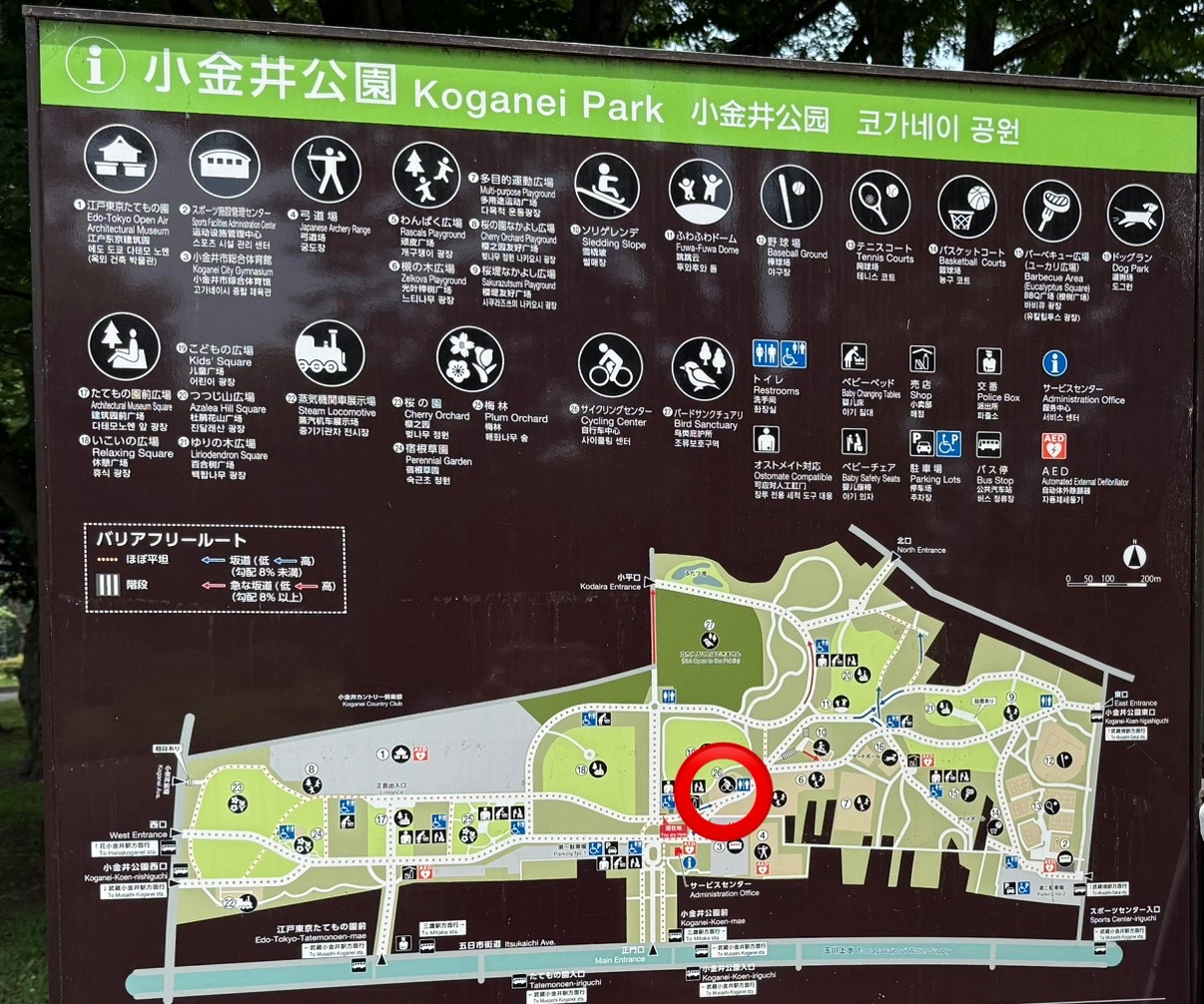 小金井公園の地図です