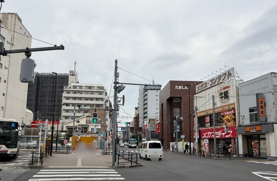 武蔵小金井駅南口から小金井街道へ向かう横断歩道です