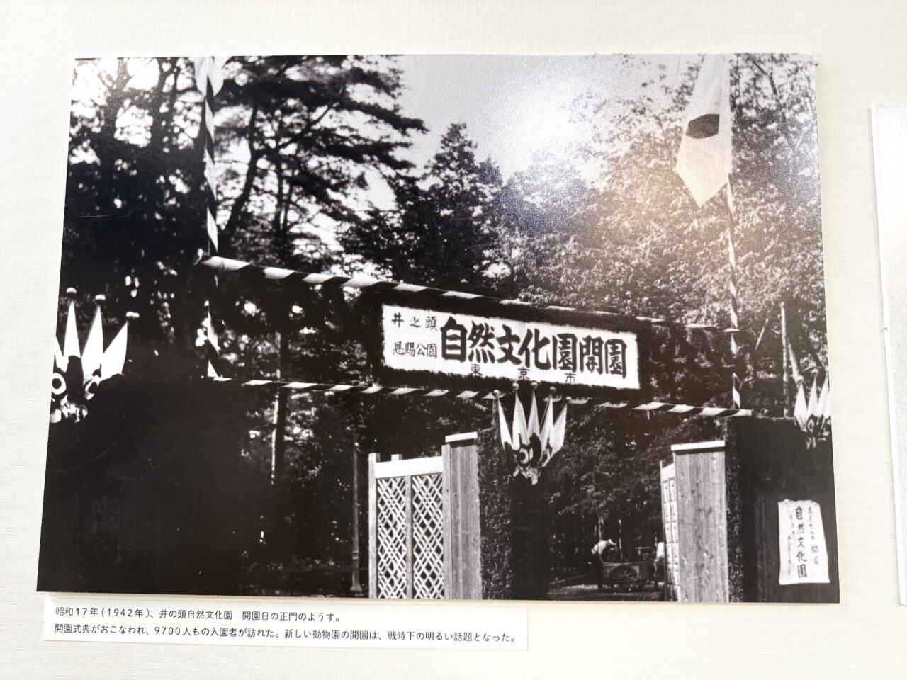 開園当時の井の頭自然文化園の様子です