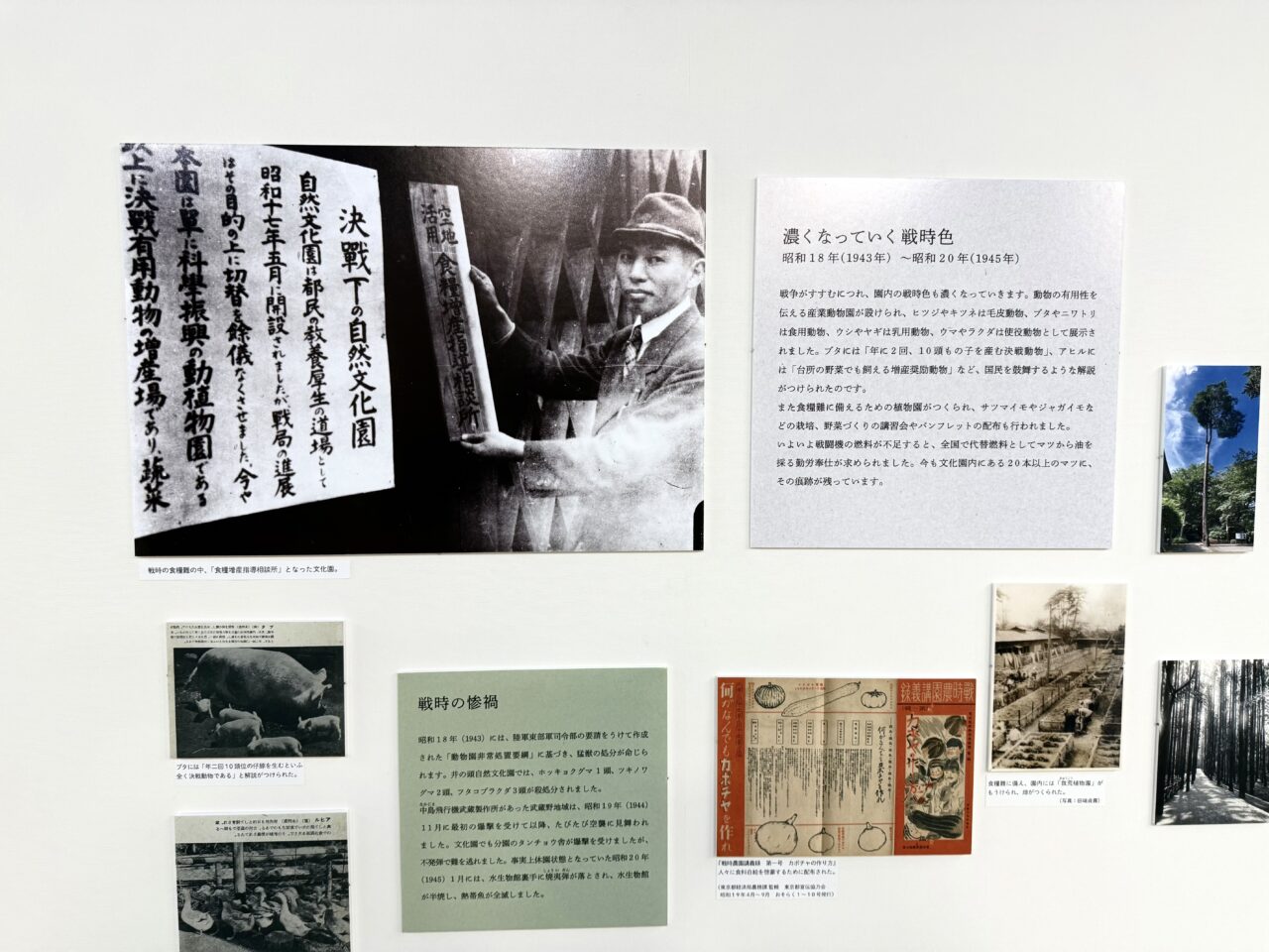 軍国主義と井の頭自然文化園