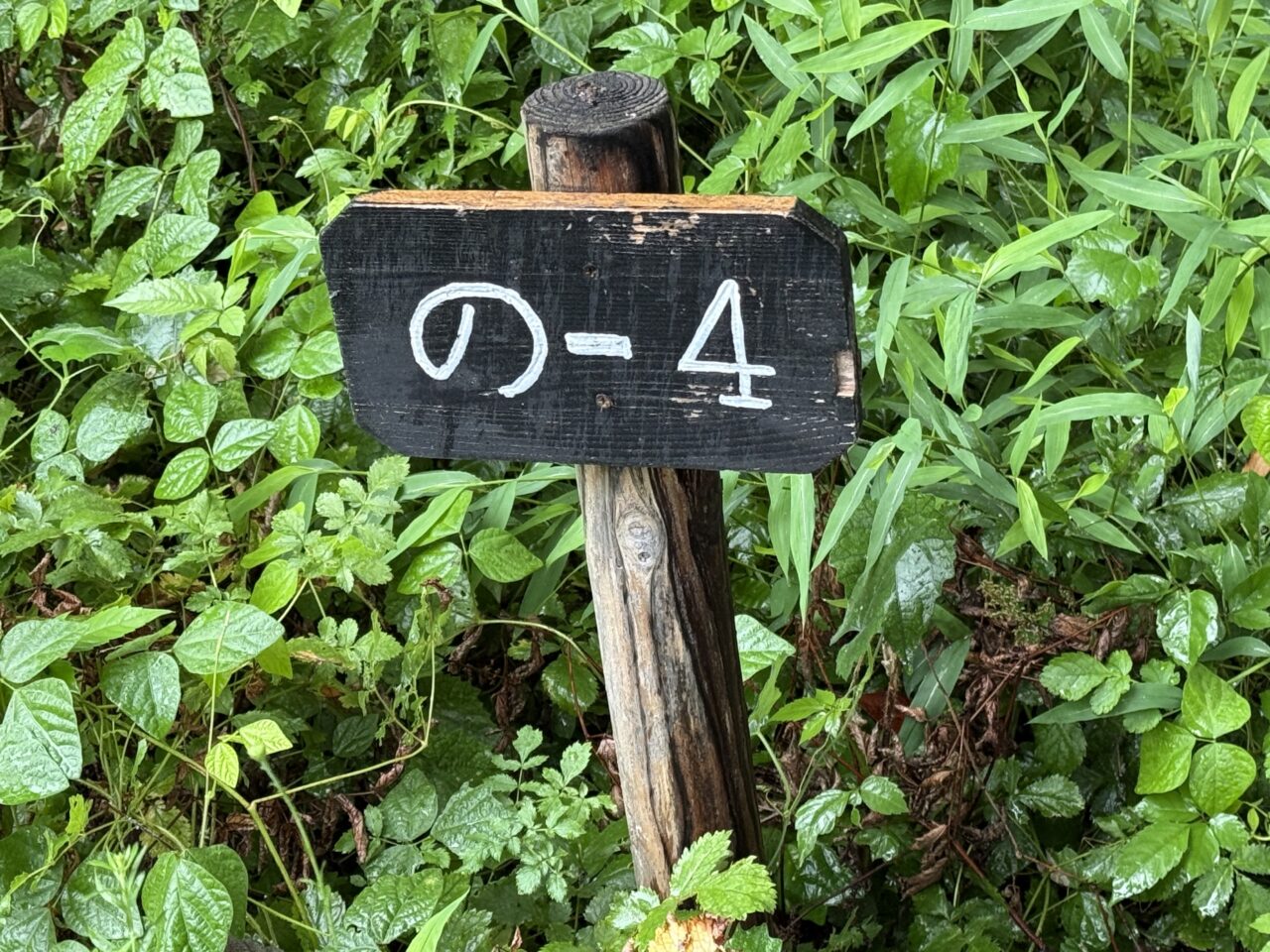 野川公園内の大体の場所を教えてくれる看板です