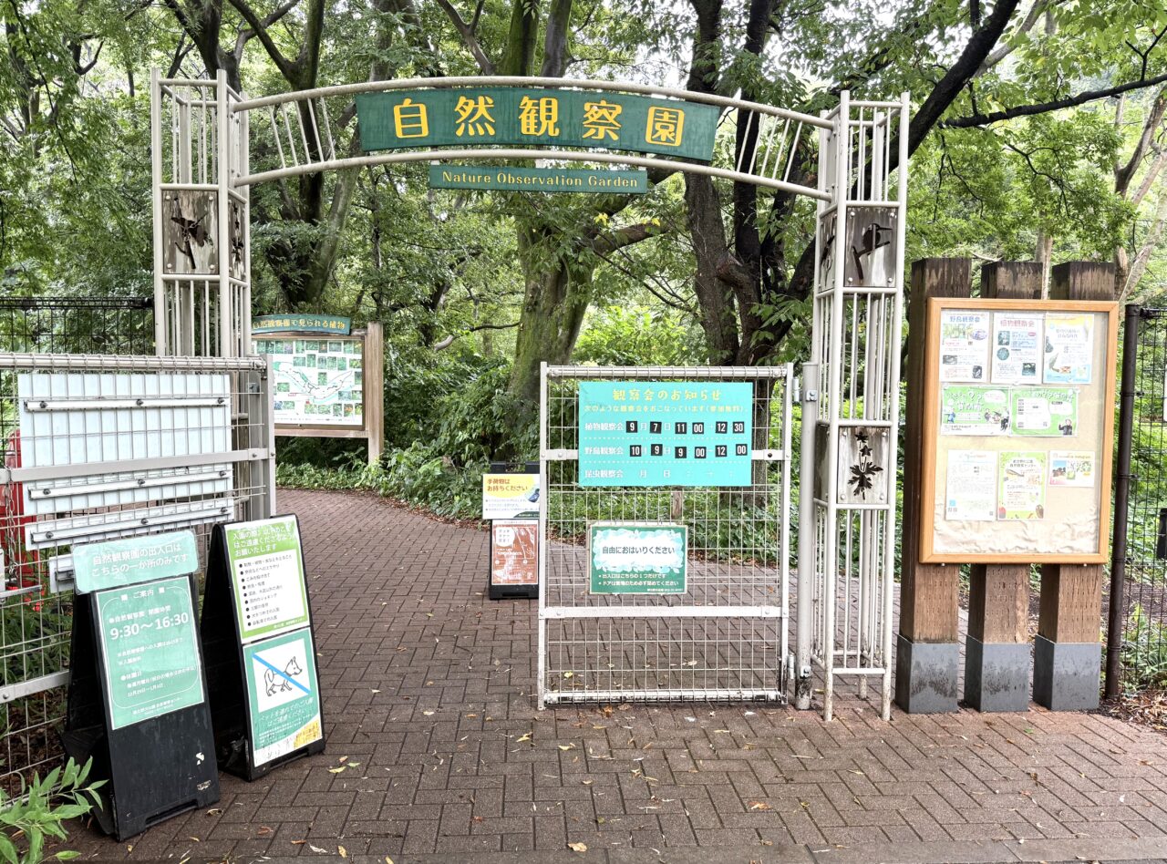 野川公園自然観察園の入り口です