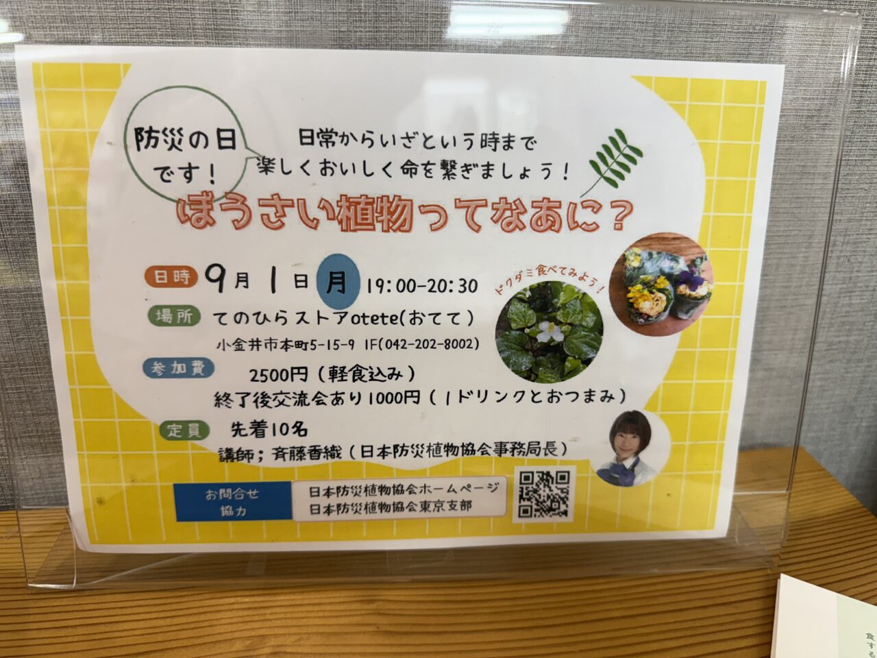 ぼうさい植物の案内