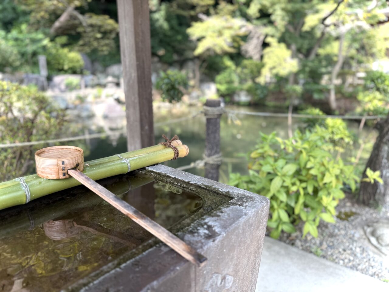 貫井神社の手水