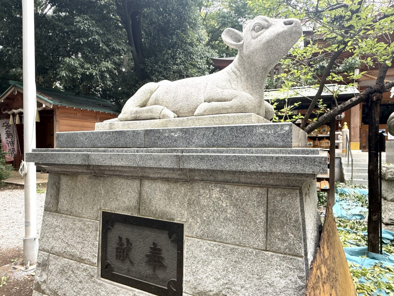小金井神社境内にある牛は道真公の神使「御神牛」