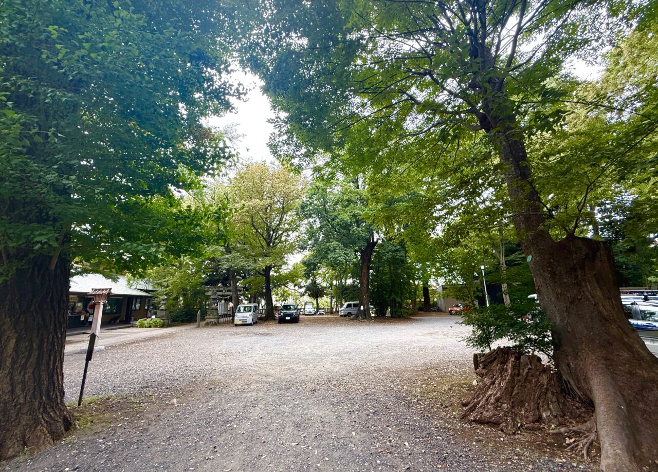 縁日の場所となる小金井神社の広場です