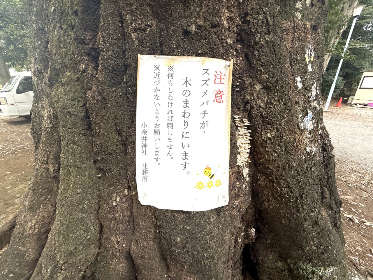 小金井神社にはスズメバチもいます