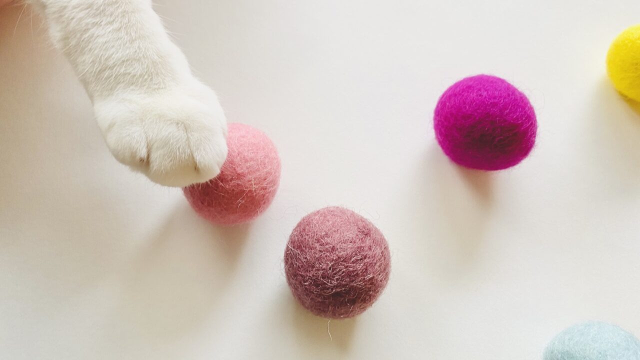 吉祥寺ねこ祭りのねこイメージ