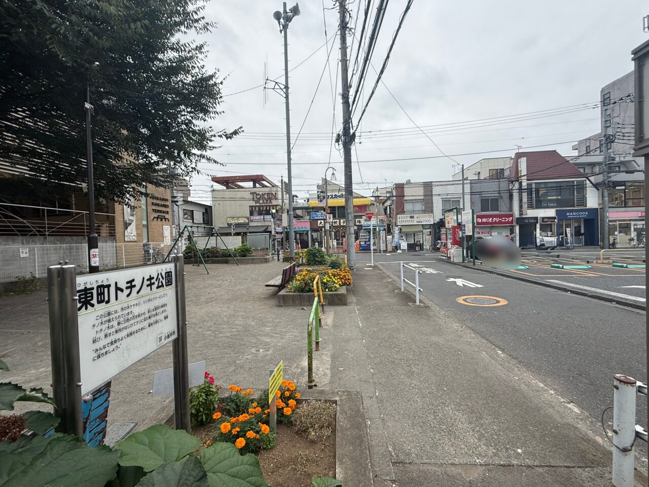 東町トチノキ公園の全景です