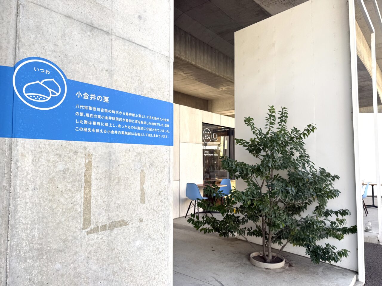 東小金井駅から会場までの間の緑のデザイン