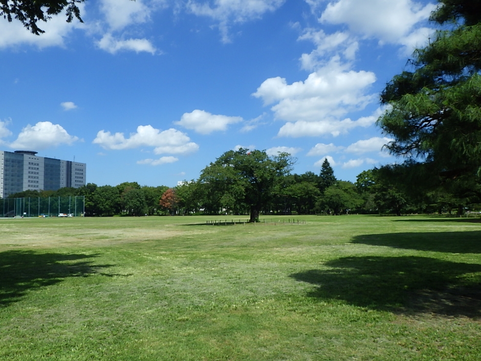 武蔵野中央公園の晴天の日