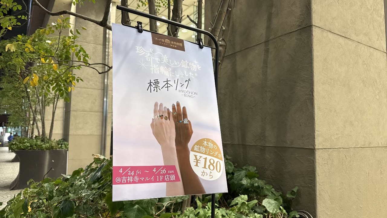 標本リングのポップアップショップ