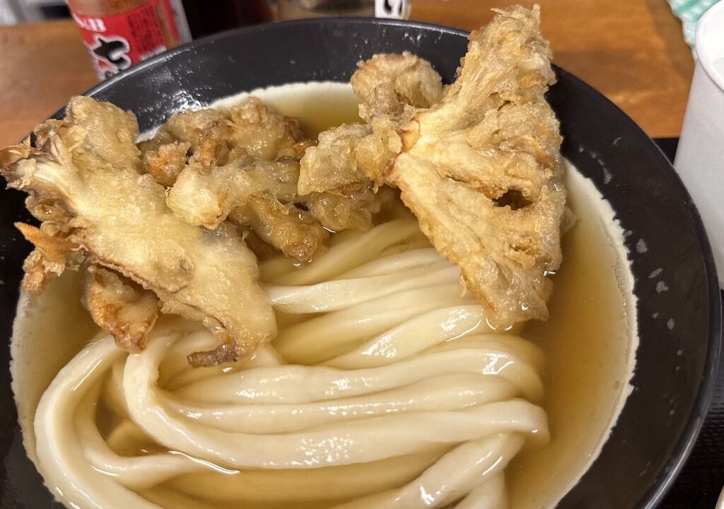 マイタケうどん