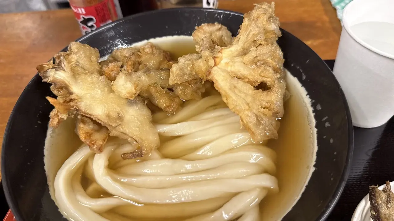 マイタケうどん
