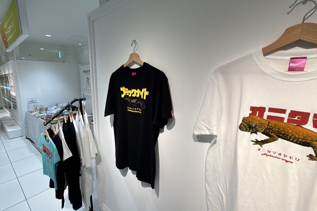CREATURES HOLICのポップアップストアで壁に展示されているオニタマオヤモリやブラックナイトのオリジナルTシャツ