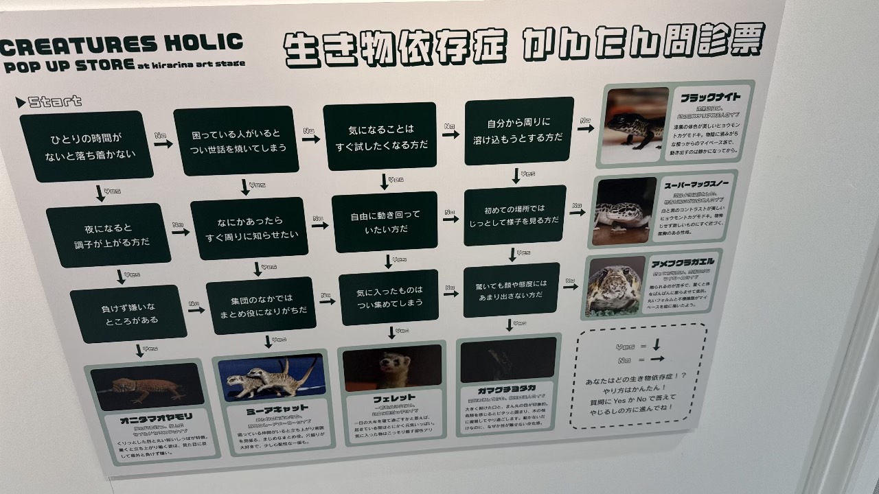 YesとNoで自分のタイプが診断できるCREATURES HOLICの生き物依存症かんたん問診票パネル