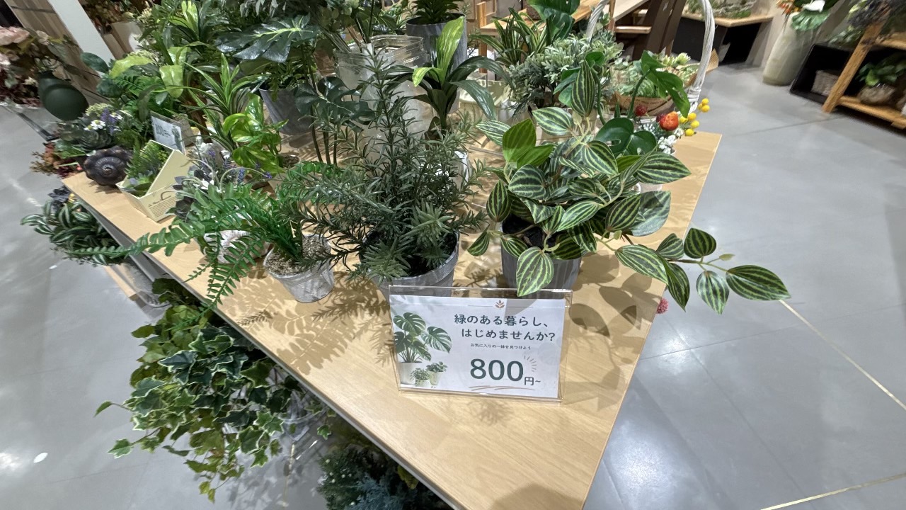 緑のある暮らしはじめませんかポップと卓上に並ぶ観葉植物のインテリアグリーン
