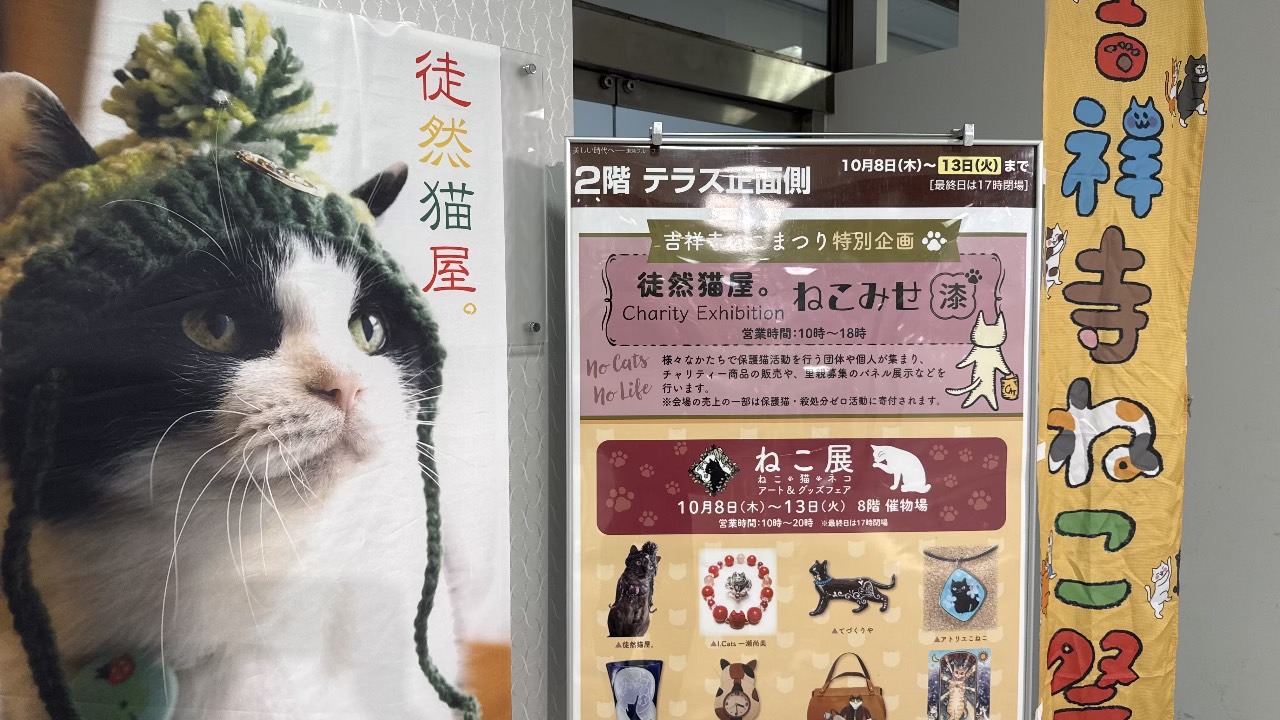 毛糸の帽子をかぶった猫の大型タペストリーと催事案内看板